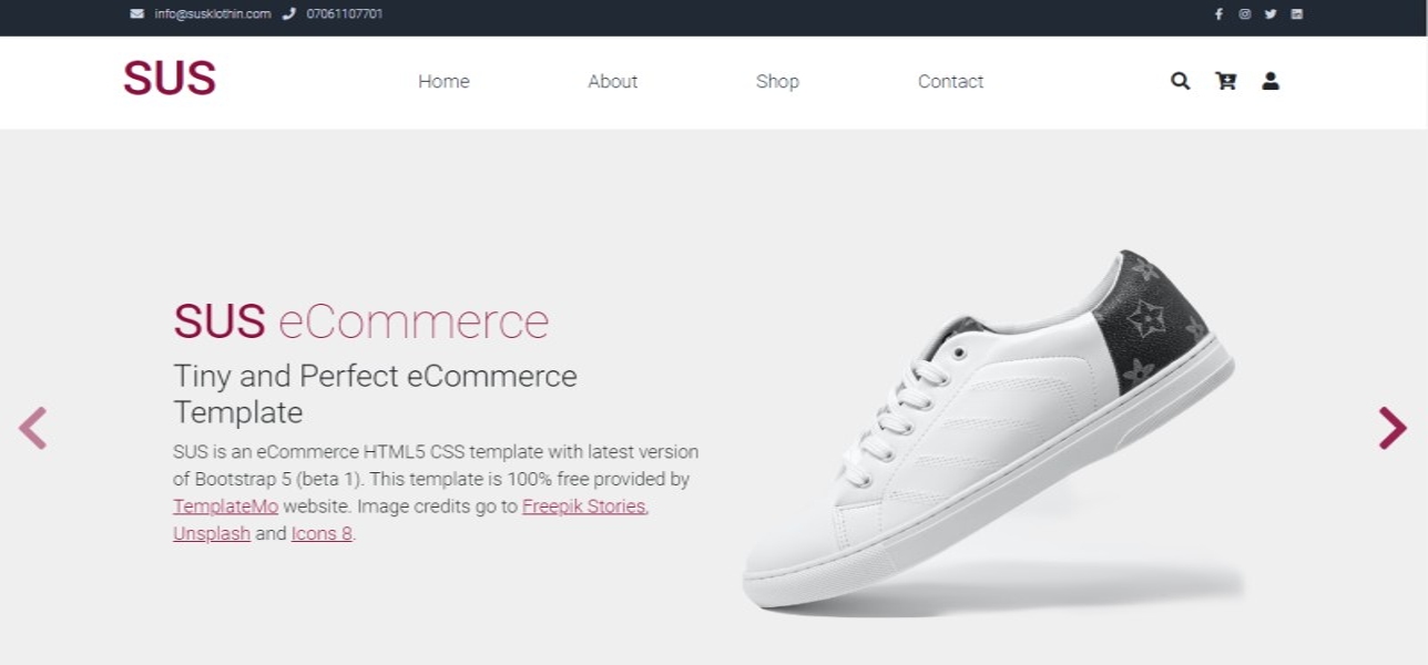 Agee portfolio-website project2-details-1 