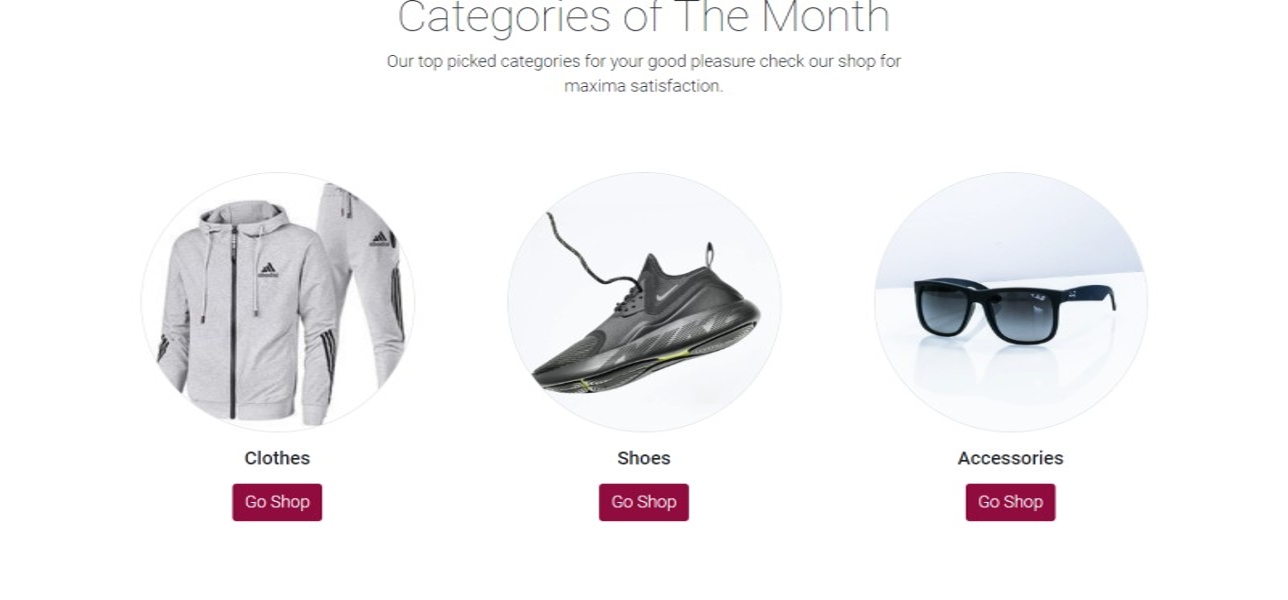 Agee portfolio-website project2-details-2