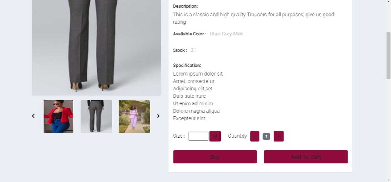 Agee portfolio-website project2-details-4
